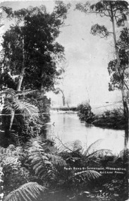 Negative Photographic Reproduction, Fairy bend at Sunnyside Warburton