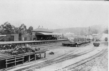 Negative Photographic Reproduction, Railway station Yarra Junction c1900s