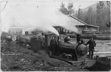 Negative Photographic Reproduction, Powellite at Powelltown