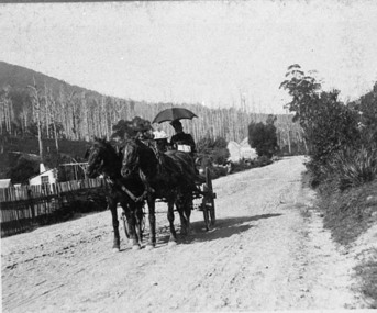 Negative Photographic Reproduction, Mrs Booth drives her buggy through Warburton township
