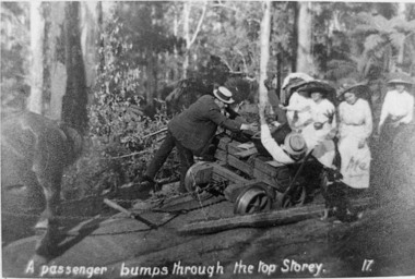 Negative Photographic Reproduction, Tourists sampling the life of a timber town