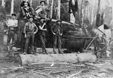 Negative Photographic Reproduction, Snigging logs, Warburton
