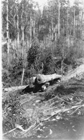 Negative Photographic Reproduction, Large logs coming down a tramline