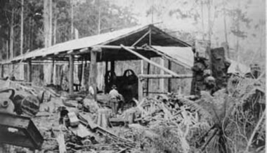 Negative Photographic Reproduction, Mc Crae Creek Mill Beenak, 2.10.1983