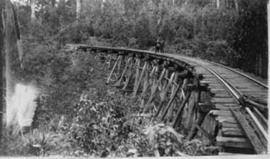 Negative Photographic Reproduction, The Powelltown tramline bridge