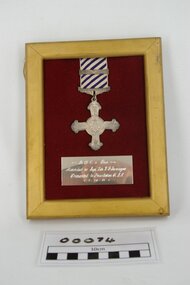 Medal, Service, Distinguished Flying Cross