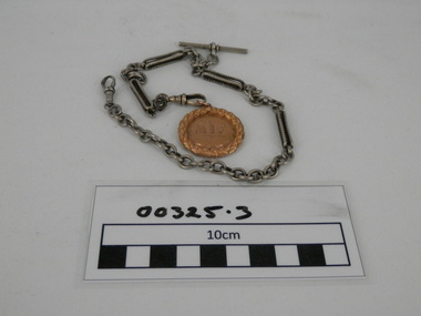 Medallion