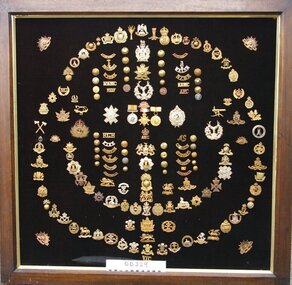 Collection, Military Badges and Insignia