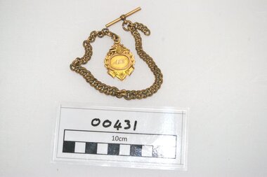 Medallion