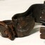 Wrist section of restraint belt with buckle