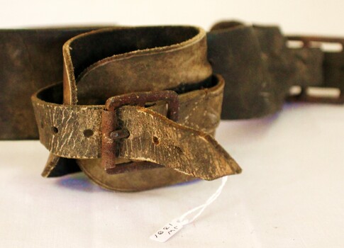Wrist section of restraint belt