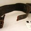 Diagonal view of restraint belt 
