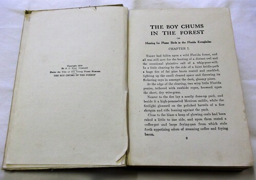 Internal cover: Publisher details and chapter one