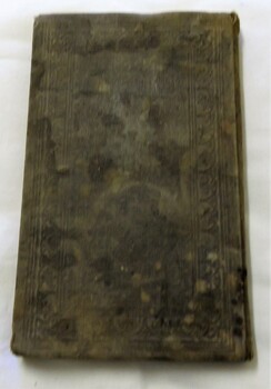 Dark green and brown. Water stains and what appears to be mould growth. Imprinted border around the edges