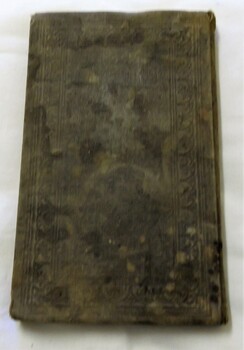 Dark green and brown. Water stains and what appears to be mould growth. Imprinted border around the edges