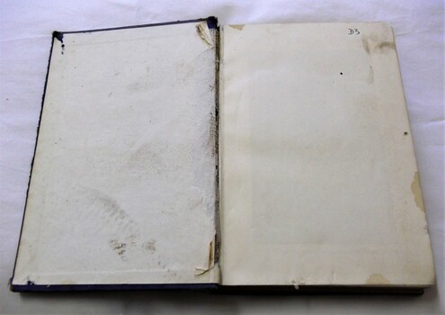 Inside front cover showing foxing and stains, D3 written in ink and some tears and fraying.
