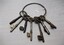 Seven metals keys of various shapes on a ring