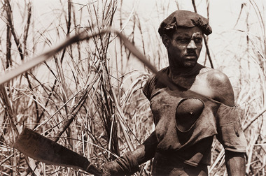 Cane Cutter / El Machetero, Tania Jovanovic, Cane Cutter  /  El Machetero, (exact); Taken 1994, printed 2004