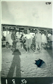 Photo of AIF Remount unit Egypt WW1