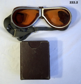 Pair of sun tinted goggles and case