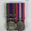 Canadian medal set 1939 - 45