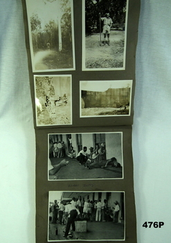 Photos in the Album re Darwin.