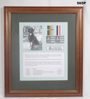 Framed item relating to a tracker dog Vietnam 