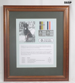 Framed item relating to a tracker dog Vietnam 