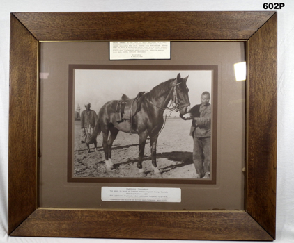 Photograph of Light Horse “Scarsdale” AIF WW1