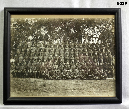 B & W photo showing a large group of reinforcements