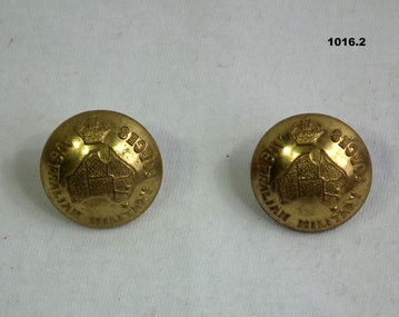 Two gold coloured Army uniform buttons