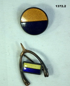 Two BN unit Association badges
