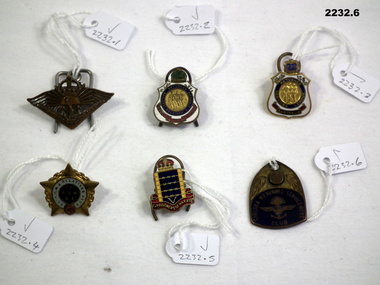 Various badges relating to service, membership.