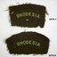 Cloth badge from Rhodesian Forces.