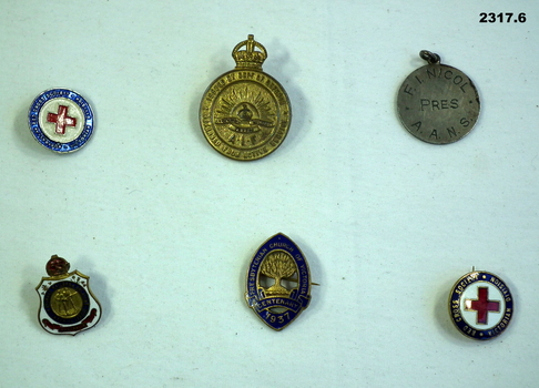 Various badges re service and membership