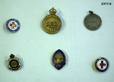 Various badges re service and membership