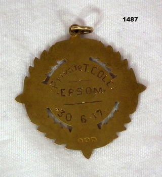 Medallion relating to target shooting