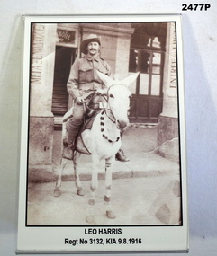 Photo, man on a donkey AIF WW1