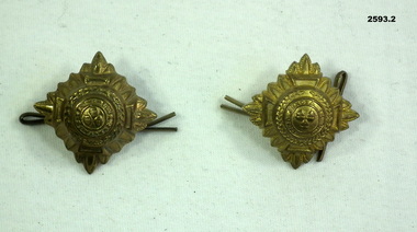 Two gold coloured Officers rank insignia.
