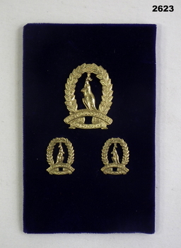 Three Light Horse badges mounted on felt.