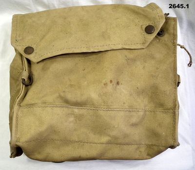 Gas mask complete with carry bag.