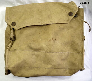 Gas mask complete with carry bag.
