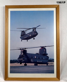 Photograph, colour showing two Chinook helicopters.