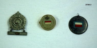 Three badges re unit association and service.