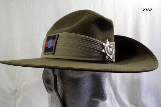 Slouch hat with two badges, colour patch & chin strap.