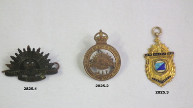 Rising sun, Active service and Shire Badges.