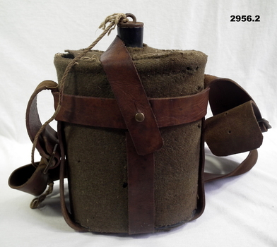 Metal water bottle and carry webbing.
