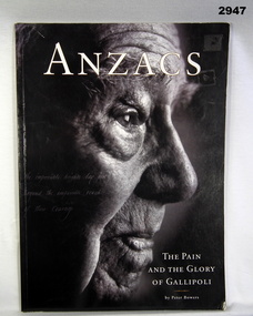 Book, the pain of ANZACS on Gallipoli.