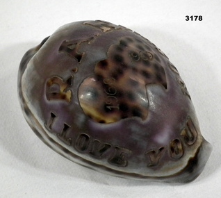 Small sea shell with carving on 1960’s.