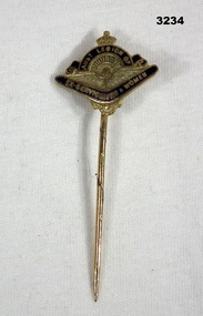 Badge, Ex Service Womens Association